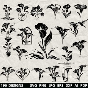 Puede incluir: Una colección de 190 diseños de calas en blanco y negro en varios estilos. Los diseños incluyen calas en jarrones, en agua y en arreglos estilizados. La imagen también incluye el texto "190 DESIGNS SVG PNG JPG EPS DXF AI PDF".