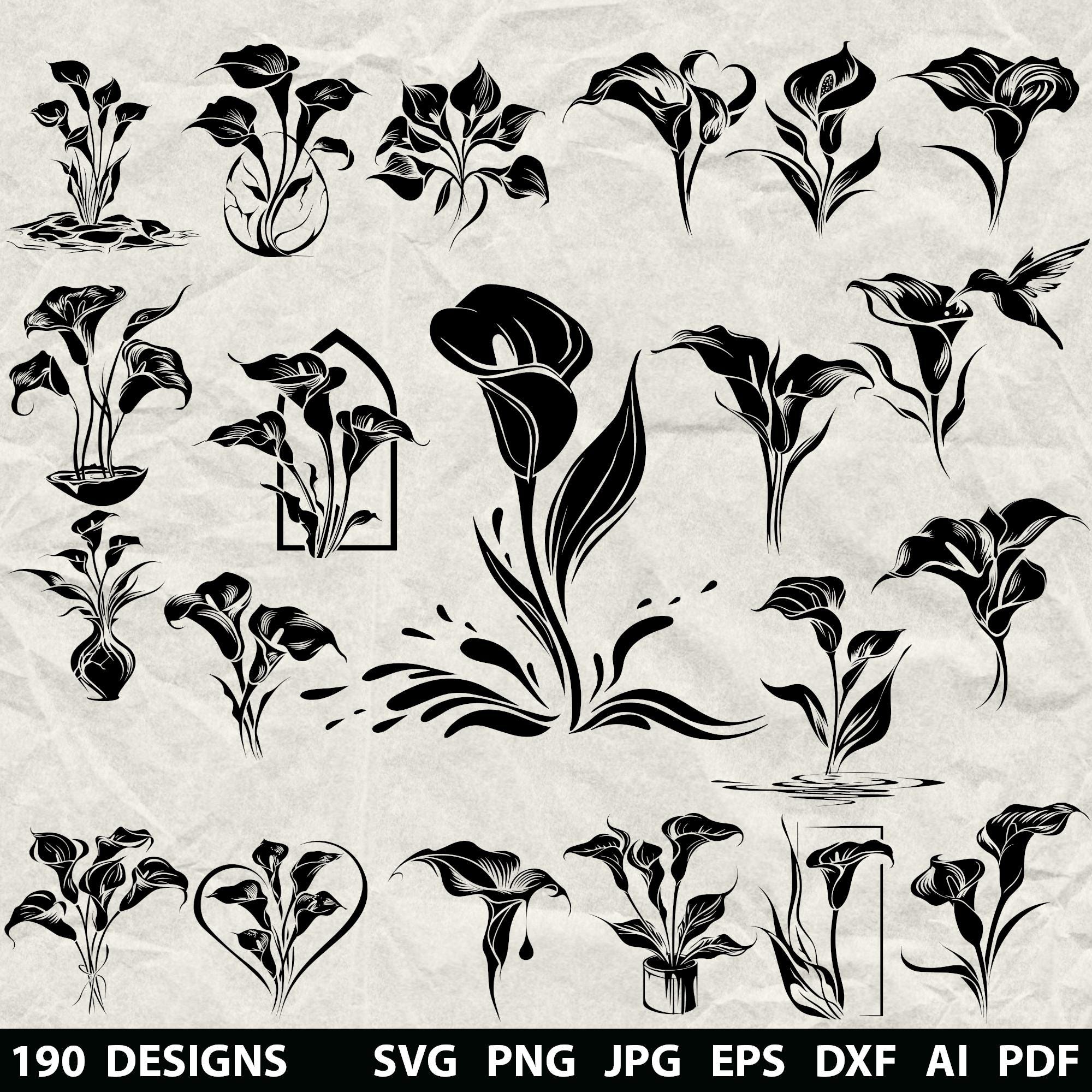 Lily drawing outline - Etsy België, image size:2000x2000