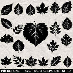 Puede incluir: Siluetas negras de hojas de diferentes formas y tamaños, incluyendo hojas de arce, roble y ginkgo. La imagen incluye el texto "190 DESIGNS" y opciones de tipo de archivo: SVG, PNG, JPG, EPS, DXF, AI y PDF.