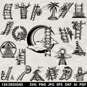 May include: A collection of 150 black and white ladder designs in various styles. The designs include ladders with animals, plants, and other decorative elements. The image also includes file type information: SVG, PNG, JPG, EPS, DXF, AI, and PDF.