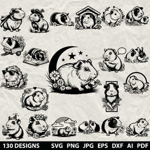 Può includere: Una collezione di illustrazioni in bianco e nero con porcellini d'India in varie pose, tra cui con cappelli, carote, su libri, circondati da fiori, stelle e arcobaleni, con il testo 130 DESIGNS nella parte inferiore dell'immagine.