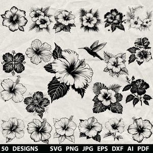 50+ Hibiscus Bundle Svg, Dxf, Eps, Ai, Pdf, Jpg, Png Hawaii flower Grayscale Burn Image Vector Wood Cut Cricut Tropical flower Silhouette