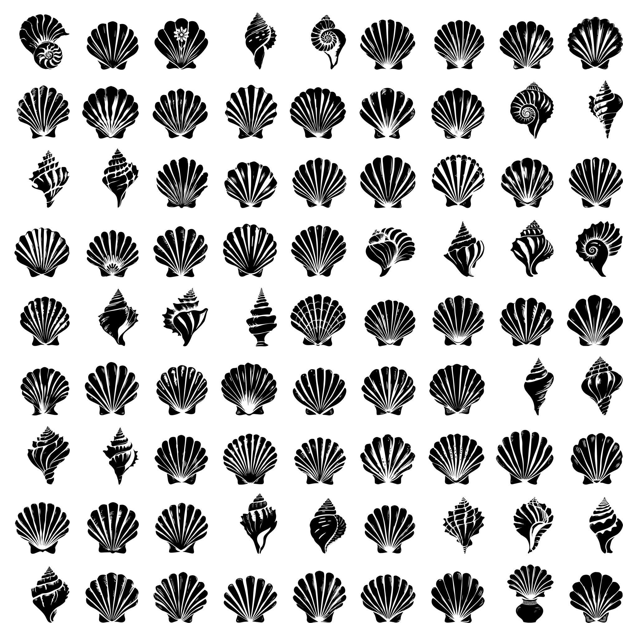 290+ Seashells Bundle Svg, Dxf, Eps, Ai, Pdf, Jpg, Png Sea World