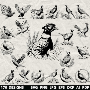 May include: A collection of 170 black and white pheasant designs in various poses and settings. The illustrations include pheasants in flight, perched, and in natural environments. The image also includes file format options: SVG, PNG, JPG, EPS, DXF, AI, and PDF.