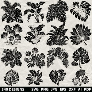 340 Tropical Leaves Svg, Dxf, Eps, Ai, Pdf, Jpg, Png Plants Grayscale Burn Image Cut Vector Cnc Wood Cut Monstera Cricut Leaf Silhouette