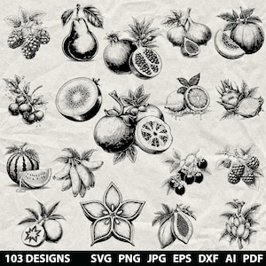 100 Fruits Bundle Svg, Dxf, Eps, Ai, Pdf, Jpg, Png Tropical Fruit Grayscale Burn Image Cut Vector Cnc Wood Cut File Cricut Fruit Silhouette
