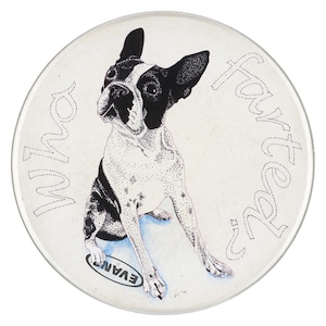 Puede incluir: Un parche de batería blanco con una ilustración en blanco y negro de un perro Boston Terrier. El texto "Who farted it?" está escrito alrededor del perro en una fuente punteada. El parche de batería tiene el logotipo "EVANS".