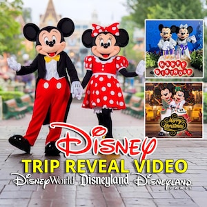 Personalized Disney Trip Reveal Video | Custom Vacation Announcement for Kids | Surprise Disney World Reveal | Digital Download