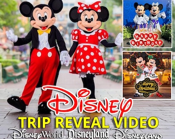 Personalized Disney Trip Reveal Video | Custom Vacation Announcement for Kids | Surprise Disney World Reveal | Digital Download