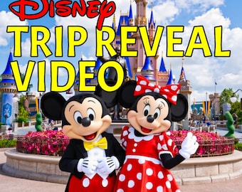 Personalized Disney Trip Reveal Video | Custom Vacation Announcement for Kids | Surprise Disney World Reveal | Digital Download