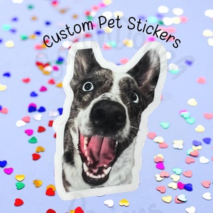 Personalized Pet Photo Sticker, Custom Dog Sticker, Custom Cat Sticker, Water Resistant Pet Sticker