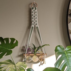 Propagation Station | Handmade Macrame | 33 Color Option | Glass Display | Hydroponic | Gift for Plant Lover | Home Decor | Indoor Garden