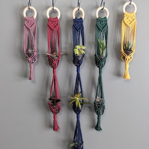 May include: Five macrame plant hangers in different colours, hanging from a branch. The hangers are made with a thick cord and have a wooden ring at the top. Each hanger has two small pots with plants inside.