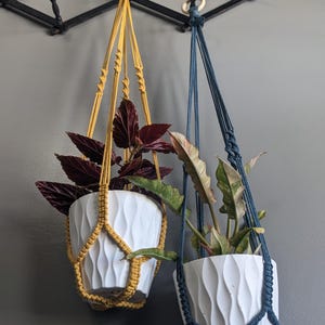 Puede incluir: Dos maceteros colgantes de macramé con macetas blancas y plantas verdes. El macetero de la izquierda es amarillo y el de la derecha es azul.