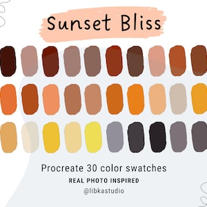 30 Warm Procreate Swatches | HEX Codes Digital Art Palette | iPad Procreate Swatches | Yellow Orange Warm Digital Palette | Colour Swatch