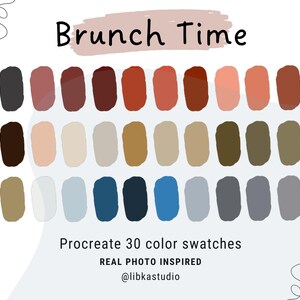 Procreate Color Palette 30 Swatches plus HEX Codes | iPad | Digital Palette | Procreate Swatches | Brunch Red Brown Blue Fall Color Swatch