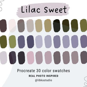 Procreate 30 Swatches | Color Palette plus HEX Codes | iPad | Procreate Swatches | Violet Lilac Purple Pink Color Swatch | Digital Palette
