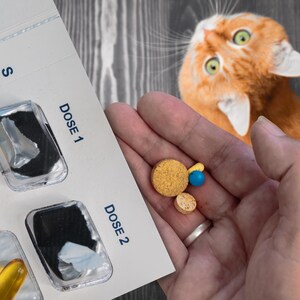May include: A close-up of a pill organizer with the days of the week printed on it. The organizer contains various pills and capsules. A hand holds several pills. An orange cat is in the background.