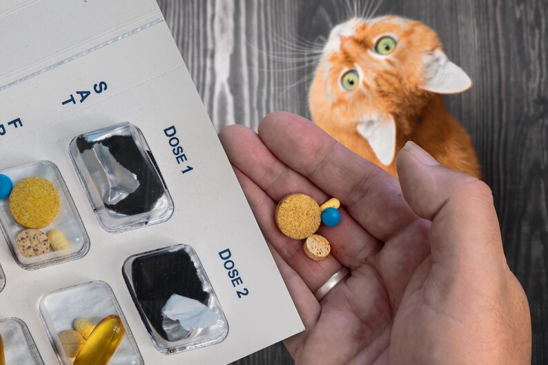 May include: A close-up of a pill organizer with the days of the week printed on it. The organizer contains various pills and capsules. A hand holds several pills. An orange cat is in the background.