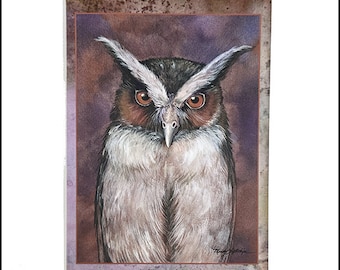Owl note card, Crested Owl, Tropical Owl, bird greeting card, backyard birds stationary, folded blank card, set of 4, 6 or 8