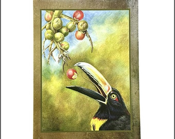 Toucan Greeting Card / Toucan Blank NoteCard / Blank Note Cards with Envelopes Nature / Tropical Bird Lovers / Fiery Aracari Illustration