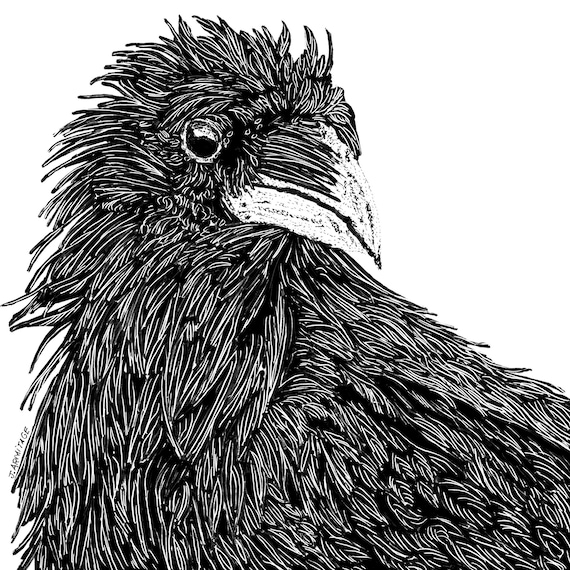 Crow Print: "Wild Teen"