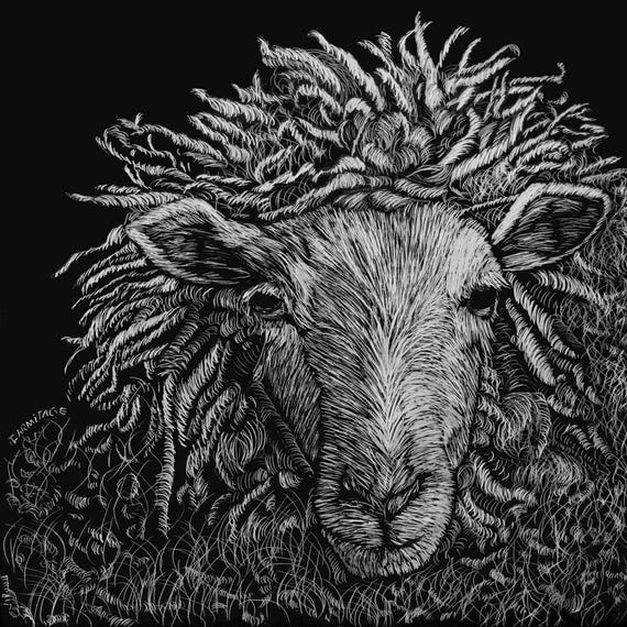 Portrait of a Sheep: "Wild Wool"
