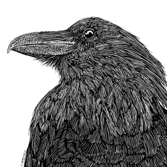 Crow Giclee: "Portrait of a Crow"