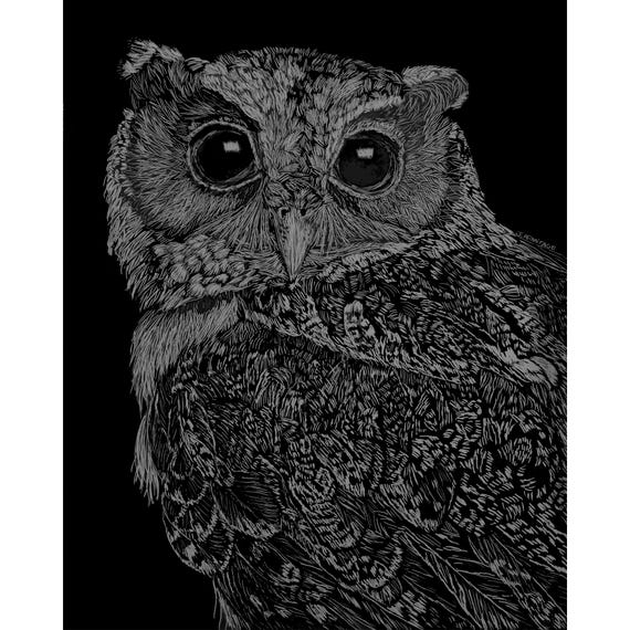Portrait of an Owl: "Lacy"