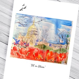 Capitol DC, DC acquerello, tulipani, cartolina, pronto per la spedizione