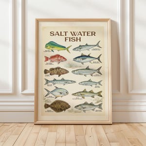May include: A framed print titled "SALT WATER FISH" featuring detailed illustrations of various fish species. The artwork showcases a variety of fish, including the Mahi Mahi, Red Snapper, and Flounder, with each fish labeled. The print is in a wooden frame.