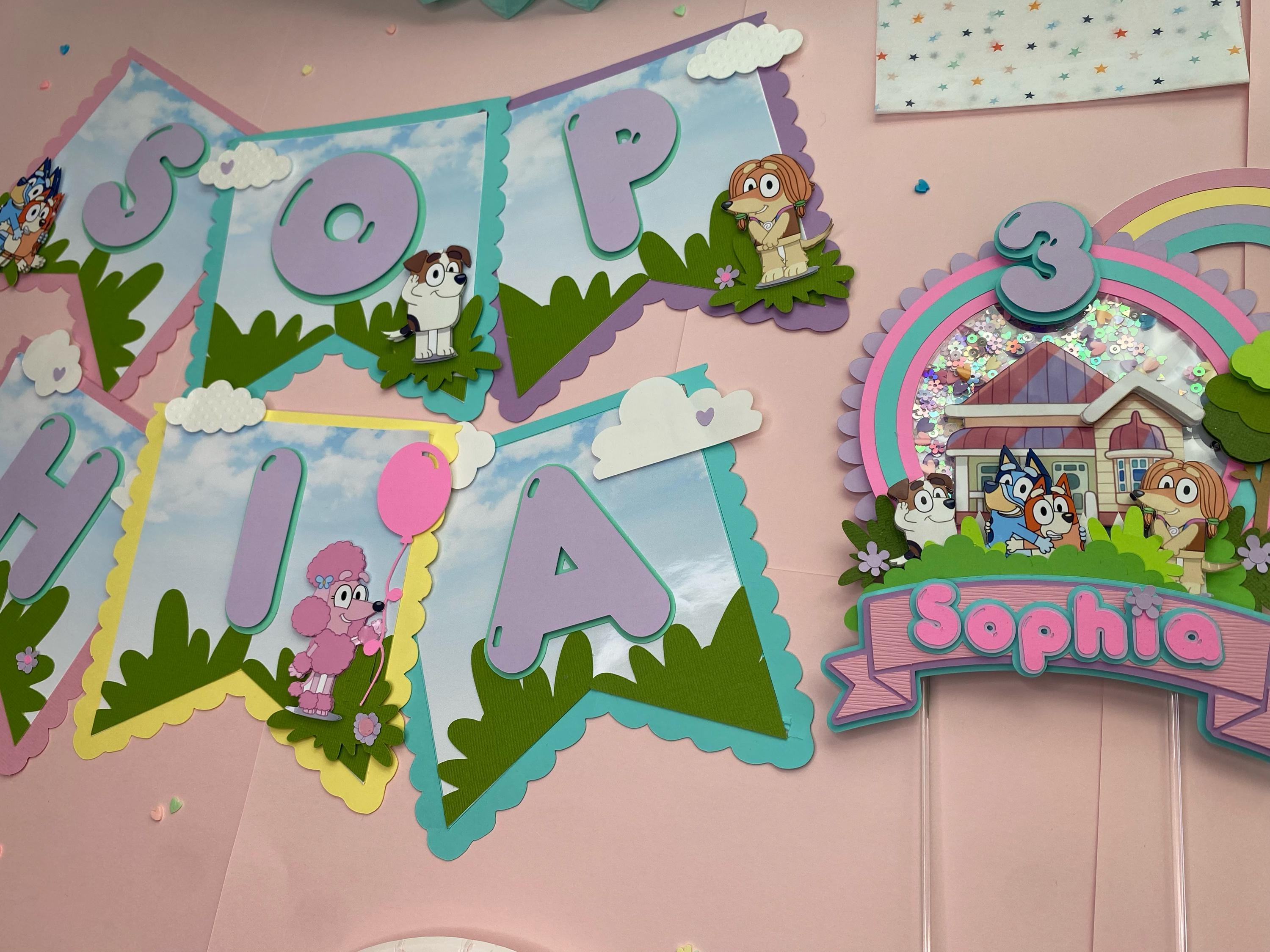Custom Bluey Banner