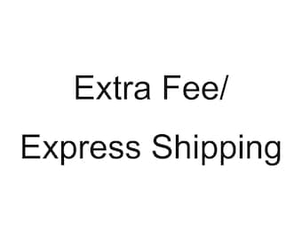 Pintura personalizada/Tarifa adicional