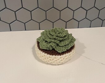 Crocheted Succulent
