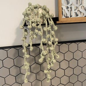 May include: A crocheted succulent plant in a green pot with long trailing vines. The plant is hanging from a shelf with a hexagonal tile background.
