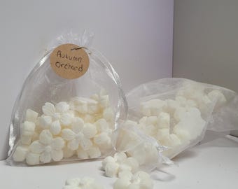 Höstträdgård | Hemgjorda sojavaxsmältningar | Avkopplande present till hemmet och kontoret