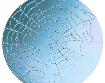 Web Spiderweb Turntable Slipmat – Double-Sided Felt DJ Vinyl Accessory