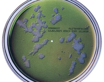 Petri Dish Turntable Slipmat – Double-Sided Felt Vinyl Record Accessory
