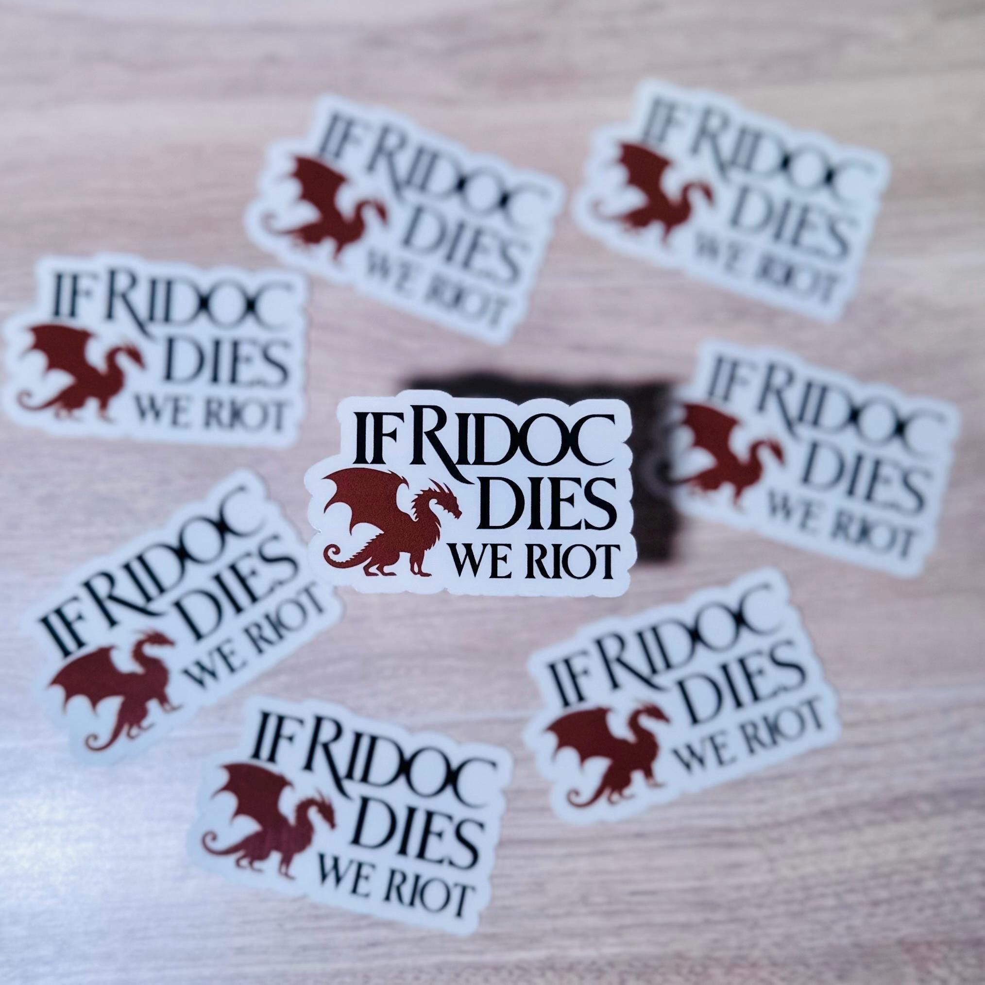 If Ridoc Dies We Riot | Fourth Wing Inspired Bookish Vinyl Kindle ...