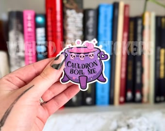 Cauldron Boil Me |ACOTAR Inspired Sarcastic Snarky Vinyl Kindle Sticker Decal