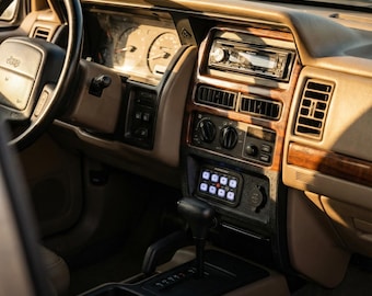 JEEP　セル板のみ　Pラブ嬢3L2YR3 実機無加工 JEEP セル板のみ Pラブ嬢3L2YR3 実機無加工 アムテックス Pラブ嬢 ～極