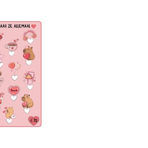 Zestaw wyzwań oszczędnościowych A6 Capybara Love – zestaw 12 kart i 1 tracker A6 – Cash Stuffing