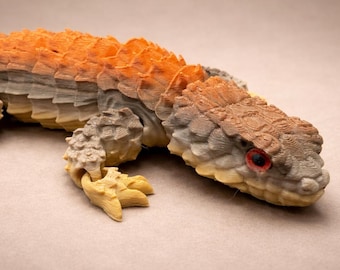 Articulated Armadillo Girdled Lizard (8 inches)
