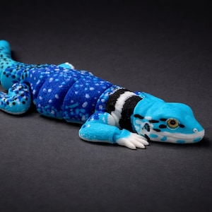 May include: A plush, blue and turquoise lizard toy with white accents. The lizard has a spotted pattern on its back and tail, with a lighter blue head and feet. Black and white stripes are on the neck. The toy is lying on a dark surface.