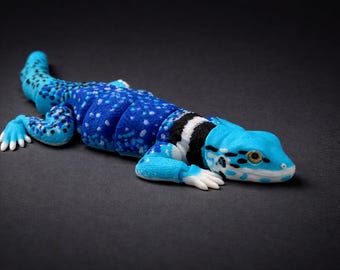 Collared Dickerson Lizard (10 inches)