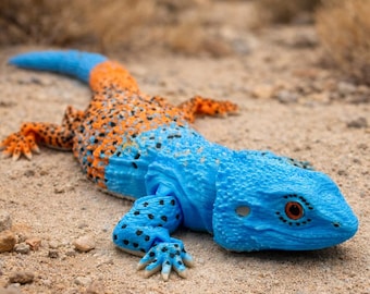 Articulated Agama Lizard (11 inches)