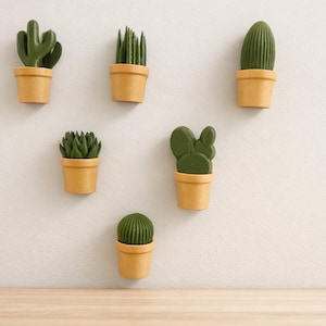 Könnte beinhalten: Sechs kleine, grüne Kakteen in hellgelben Töpfen sind an einer weißen Wand angeordnet. Die Kakteen haben unterschiedliche Formen, einige mit stacheligen Blättern und andere runder. Die Töpfe sind einheitlich in Größe und Farbe.