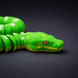 Pitón arborícola verde articulada imagen 3