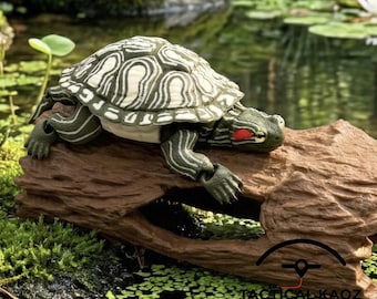 Tortuga de orejas rojas