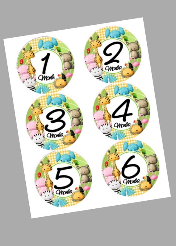 Baby Milestone Monthly T Shirt Stickers, Photo Props, Baby Jungle Safari Animals, Wild Animals Il_570xn